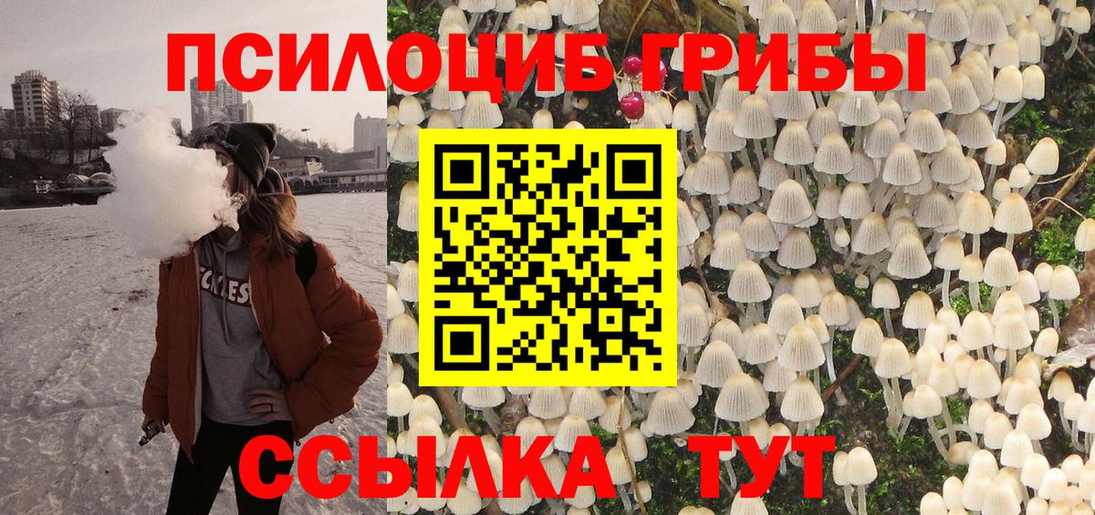 Псилоцибиновые грибы GOLDEN TEACHER Рославль